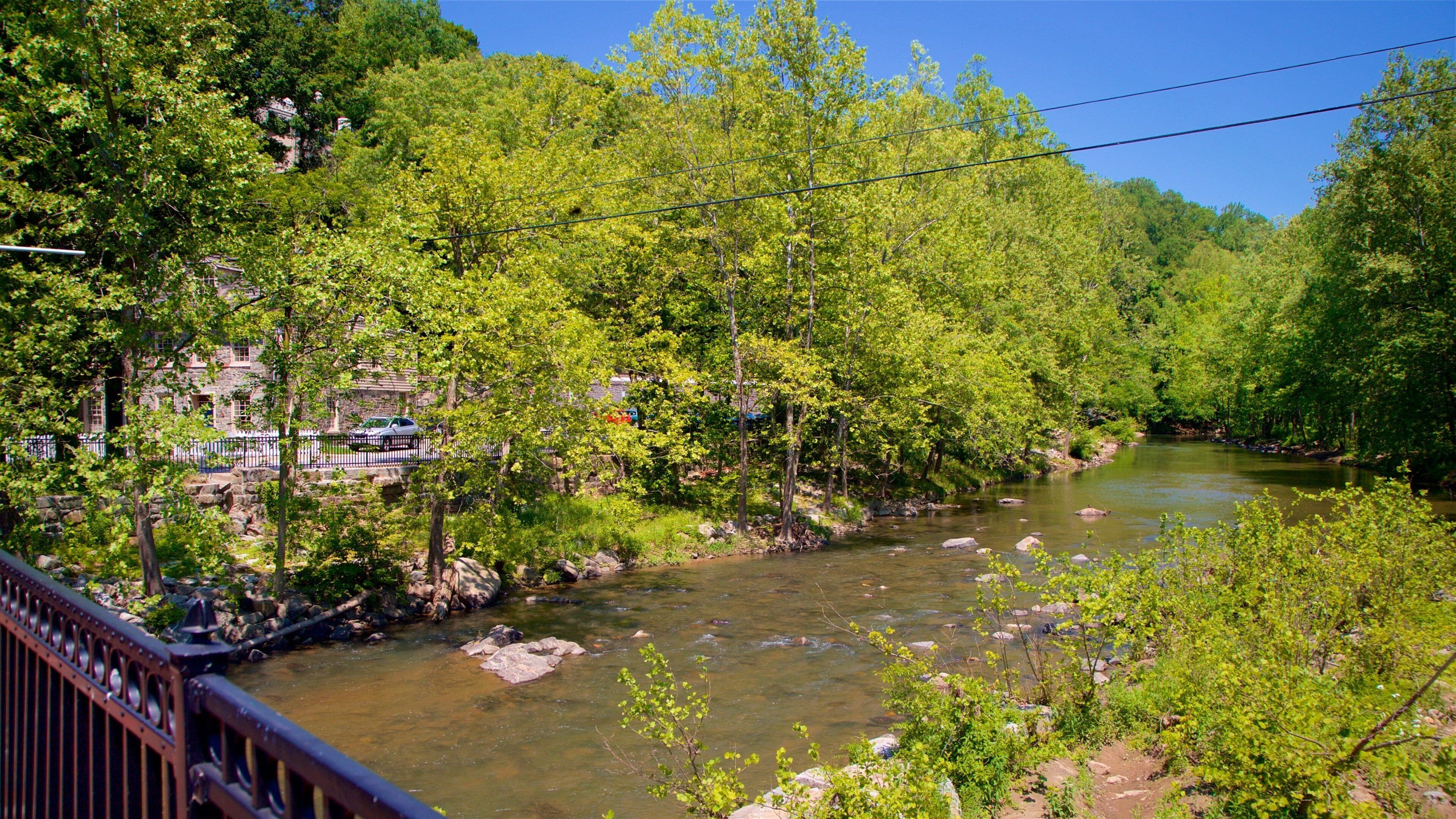 Ellicott City