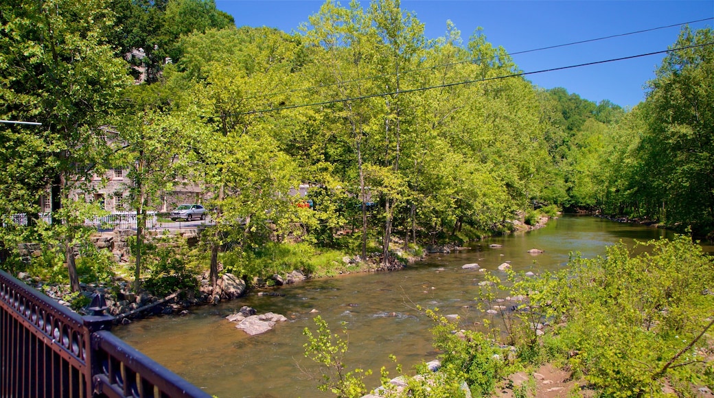 Ellicott City