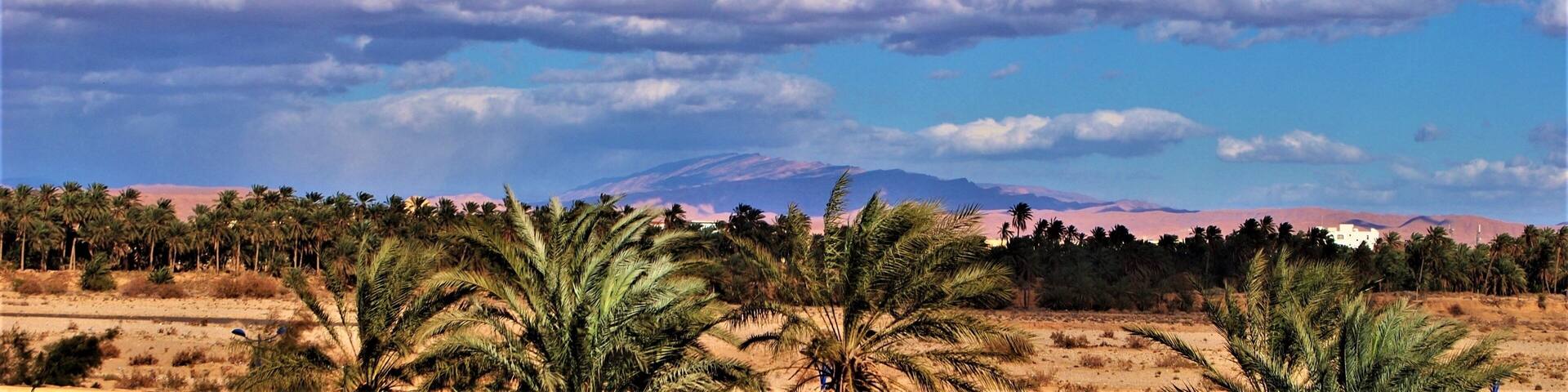 Paysages divers de l'atlas Algérien, Biskra