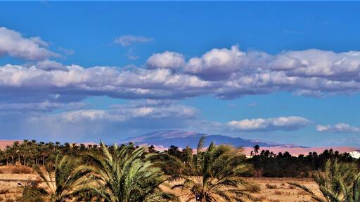 Paysages divers de l'atlas Algérien, Biskra
