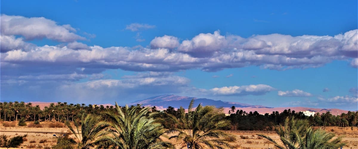 A desert landscape with palm trees, a mountain in the background, and a clear blue sky with clouds.