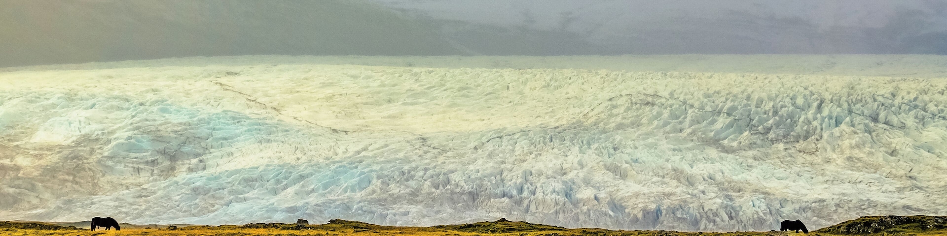 Iceland is a land of contrasts. This is the #golden view towards the Vatnajökull glacier from route 1 between Vagnsstadir and Höfn