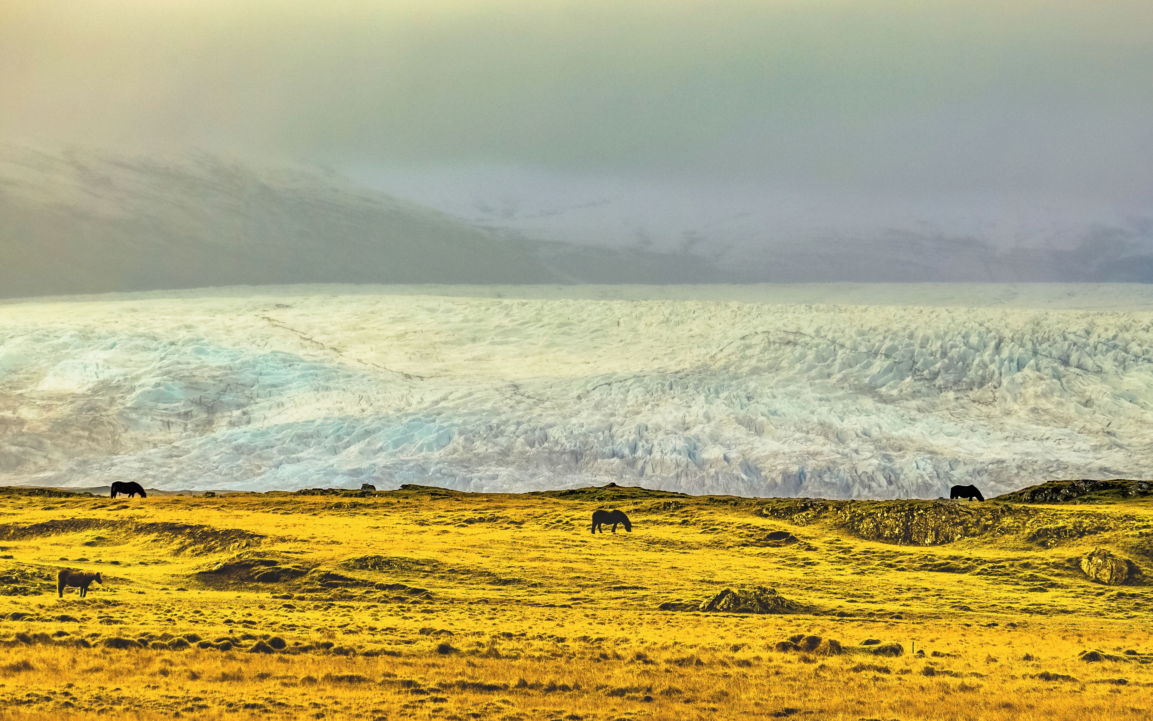 A glacier with a herd of horses grazing in the foreground.