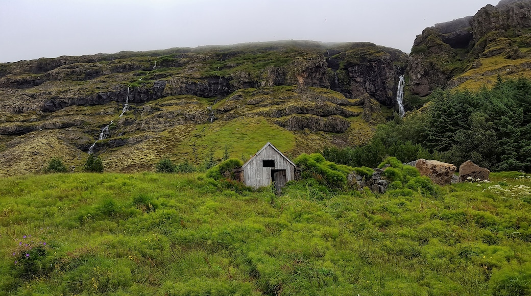 Travel to Iceland. Small hHouse. Reynivellir in southeastern Iceland