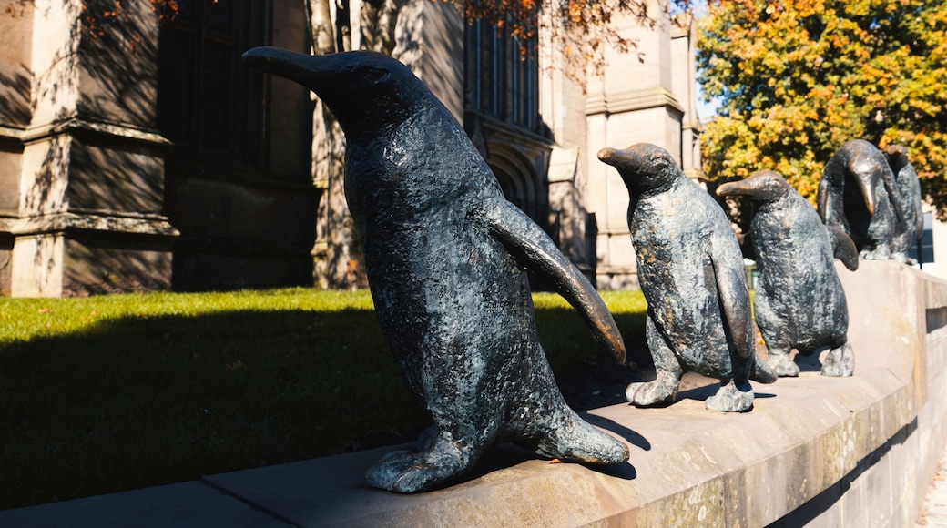Vibrant, outdoor scene featuring Dundee penguins sculptures