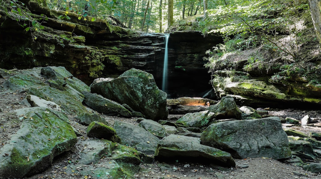 One of the many falls in Dundee, state park.