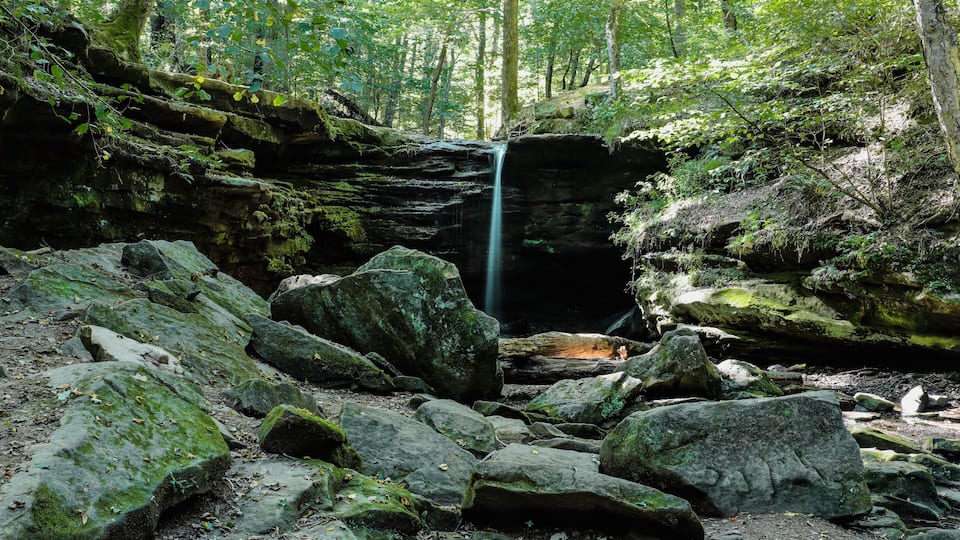 A forested area with a waterfall cascading over rocks.