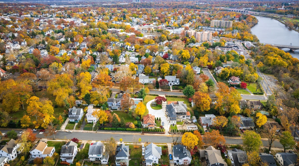 Aerial Drone of New Brunswick Foliage