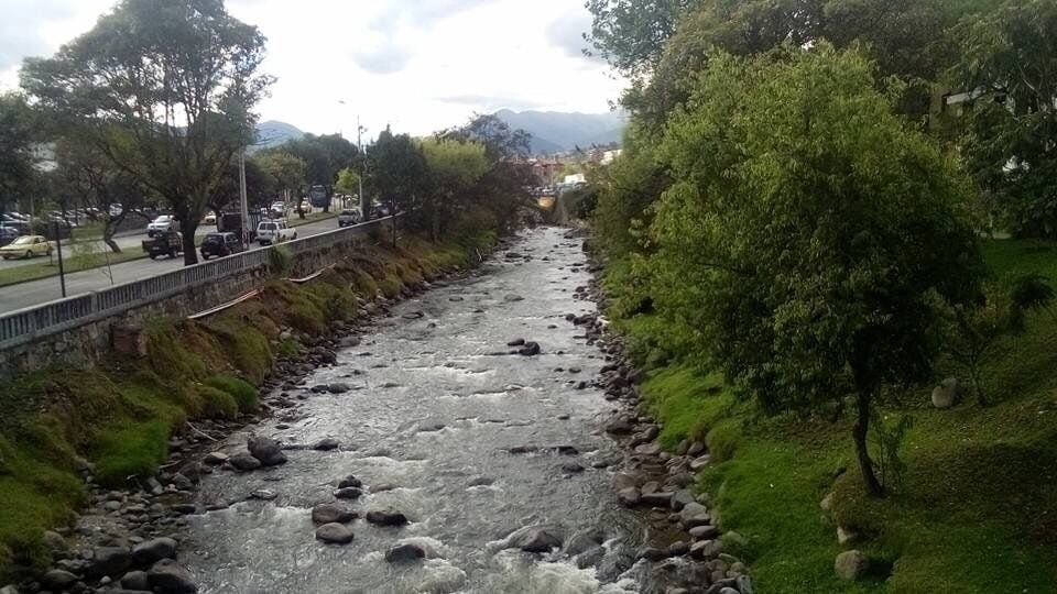 Um rio com pedras, uma ponte e árvores.