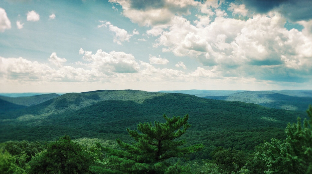 Elevated panoramic view of the Bear Mountain State Park, Hudson River, Rockland County, New York State, USA.