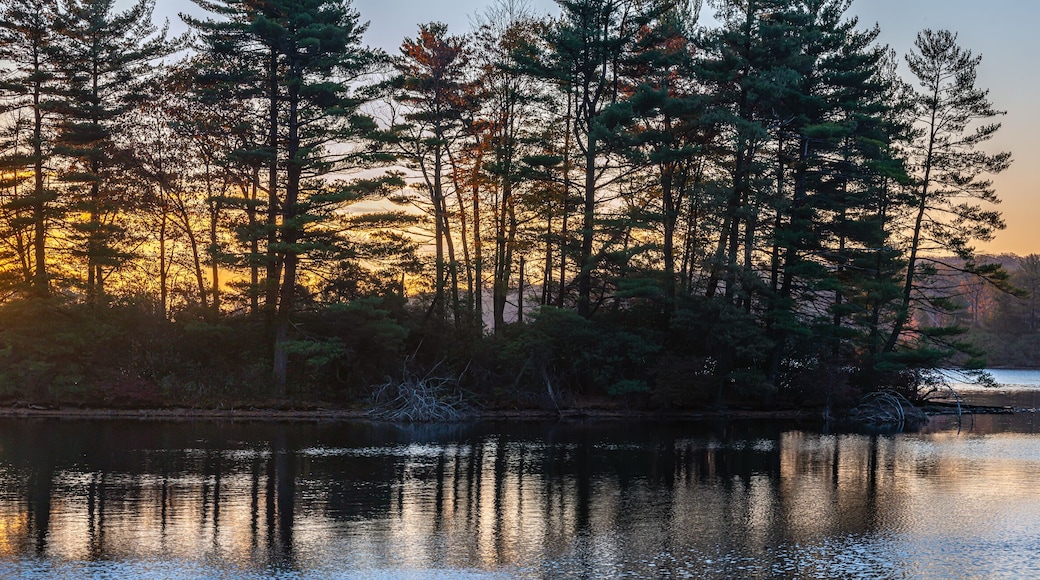 Harriman State Park panoramic at sunrise at lake