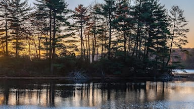 Harriman State Park panoramic at sunrise at lake