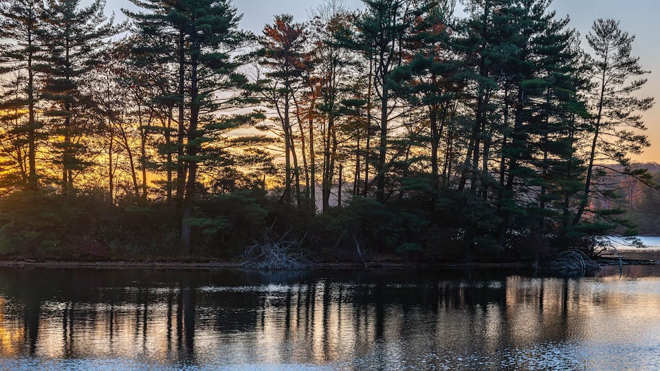 A sunset over a calm lake surrounded by dense trees.