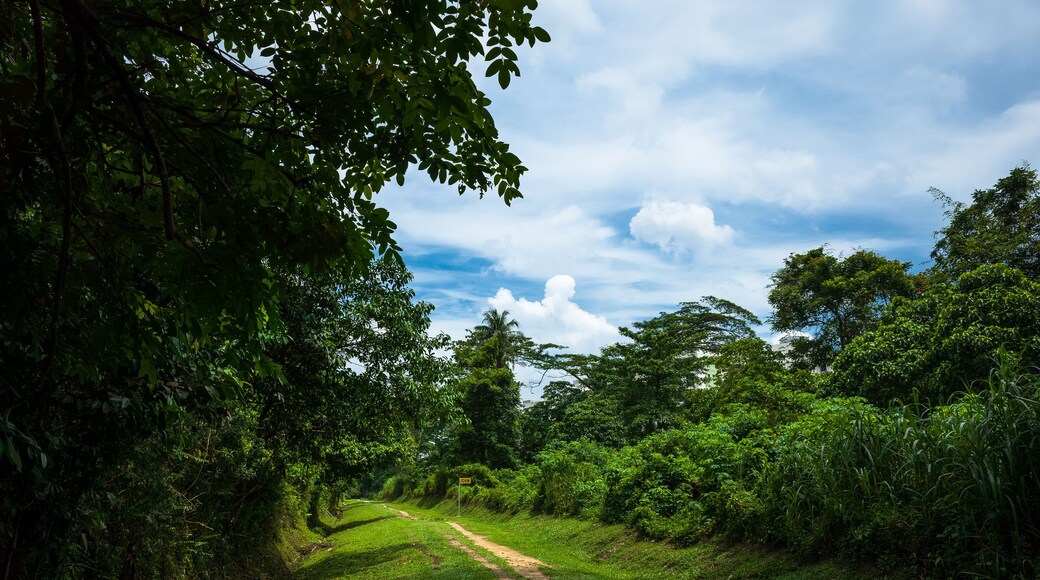 リム・チュー・カン