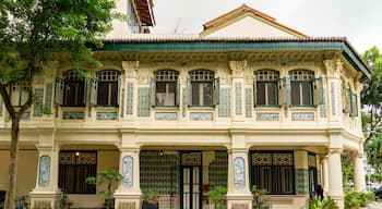 Petain Road corner with colourful shophouses fronts in Singapore