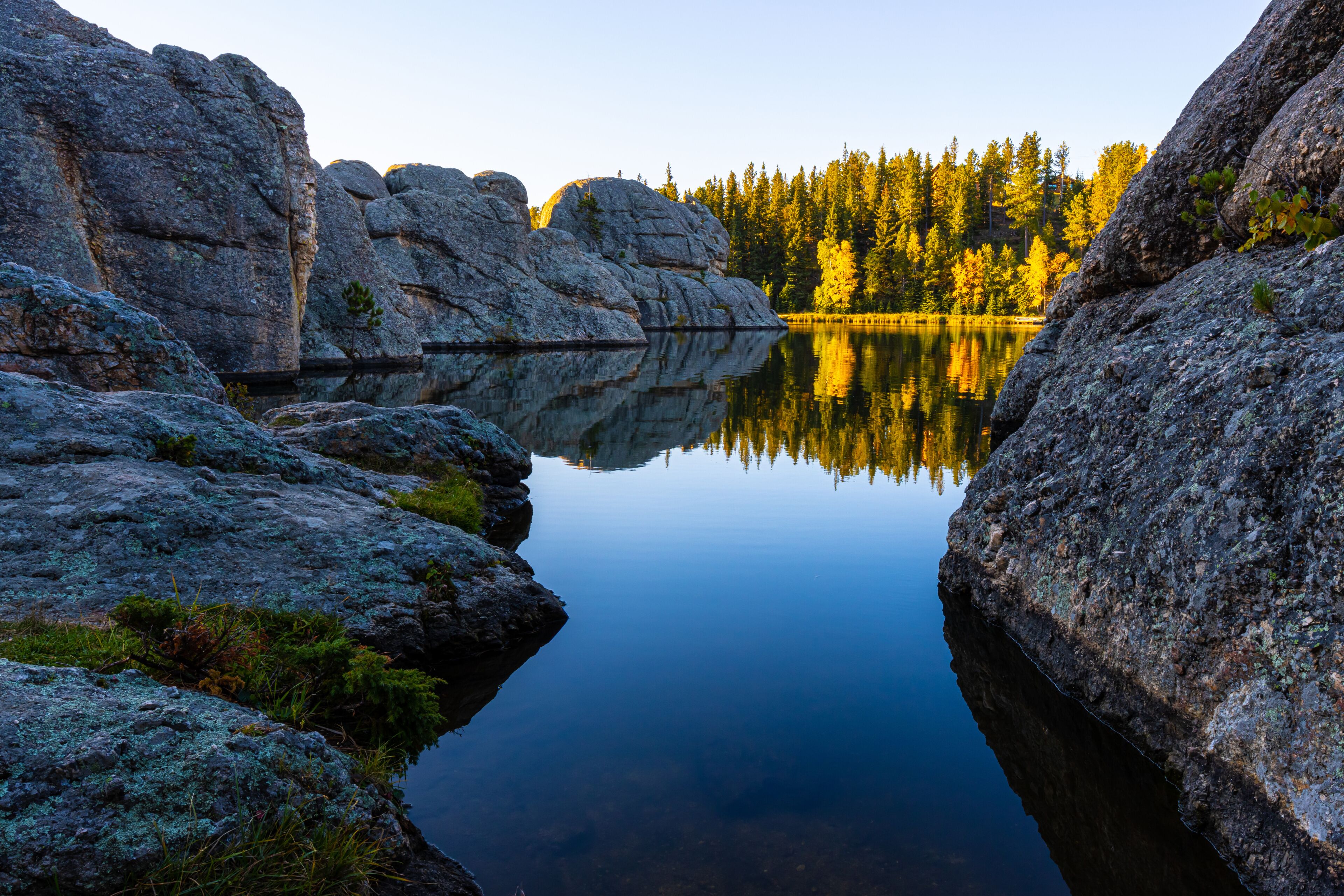 Spearfish