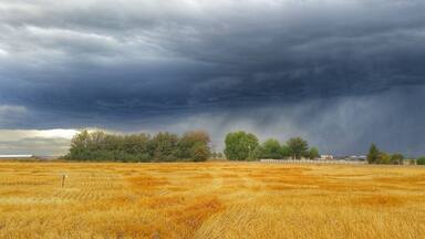 Sitting in a wheat field waiting for doves and watching the storm come in.