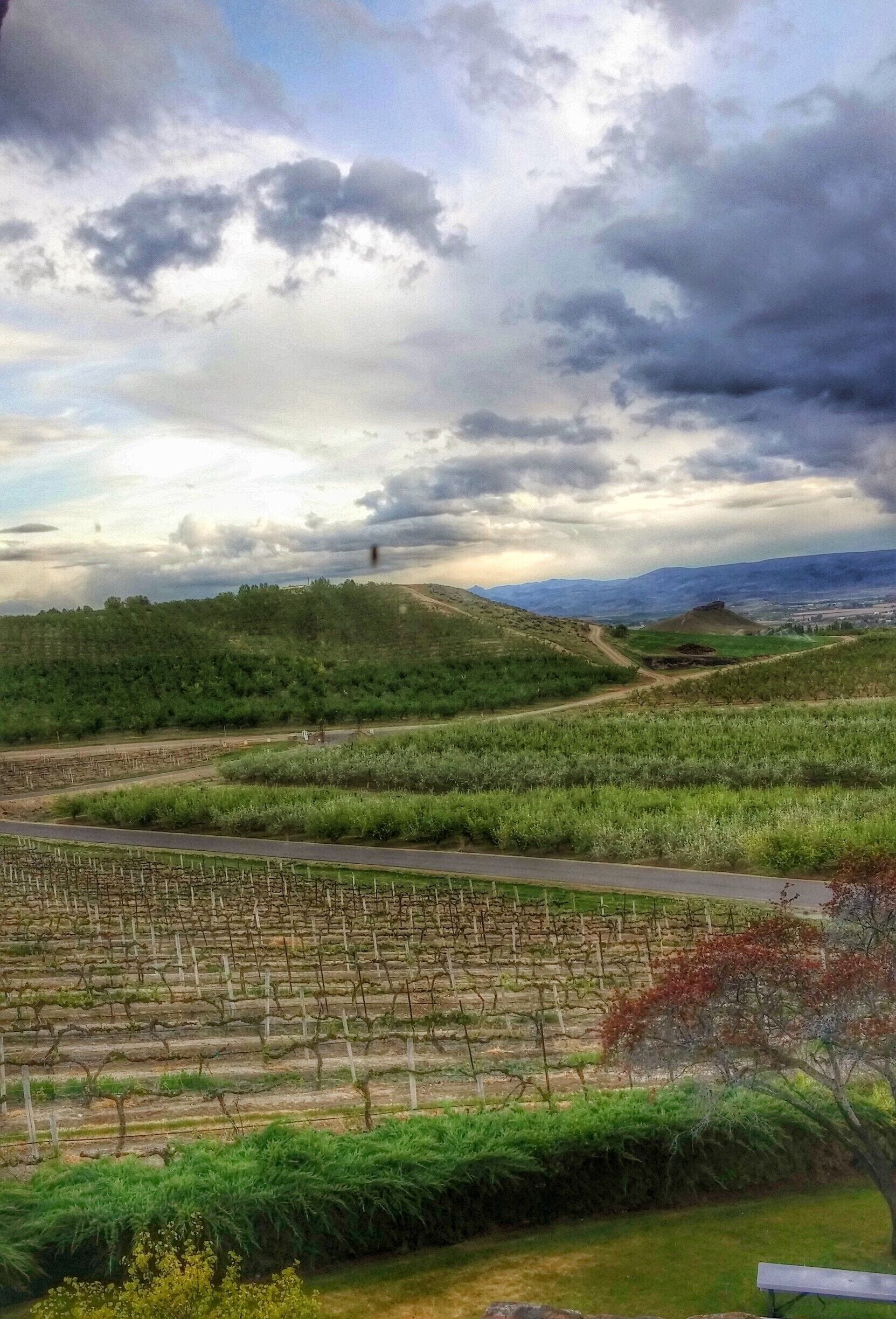 Sunset over Idaho wine country in the Snake River Valley AVA. 
