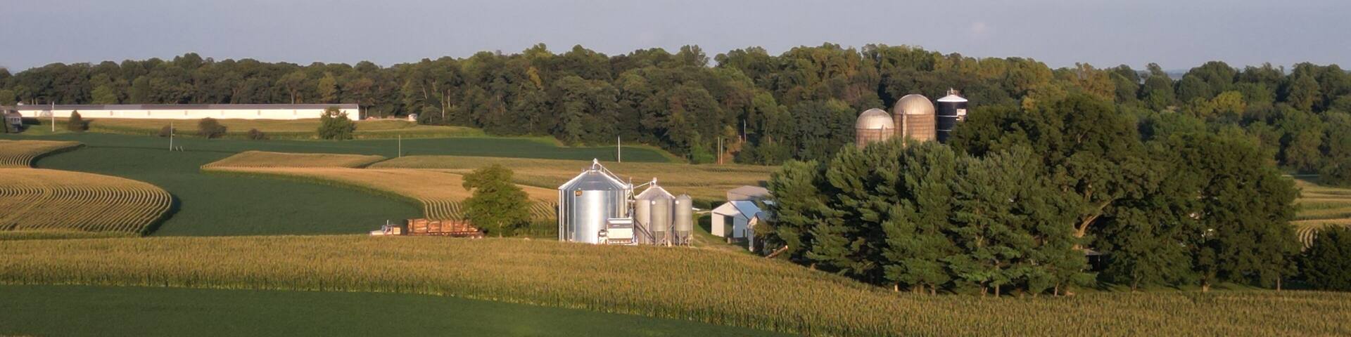 Summer evening in Eden Township