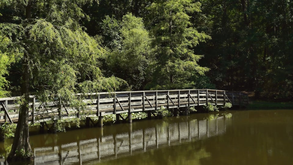 A wooden bridge over a calm river, surrounded by dense green trees.