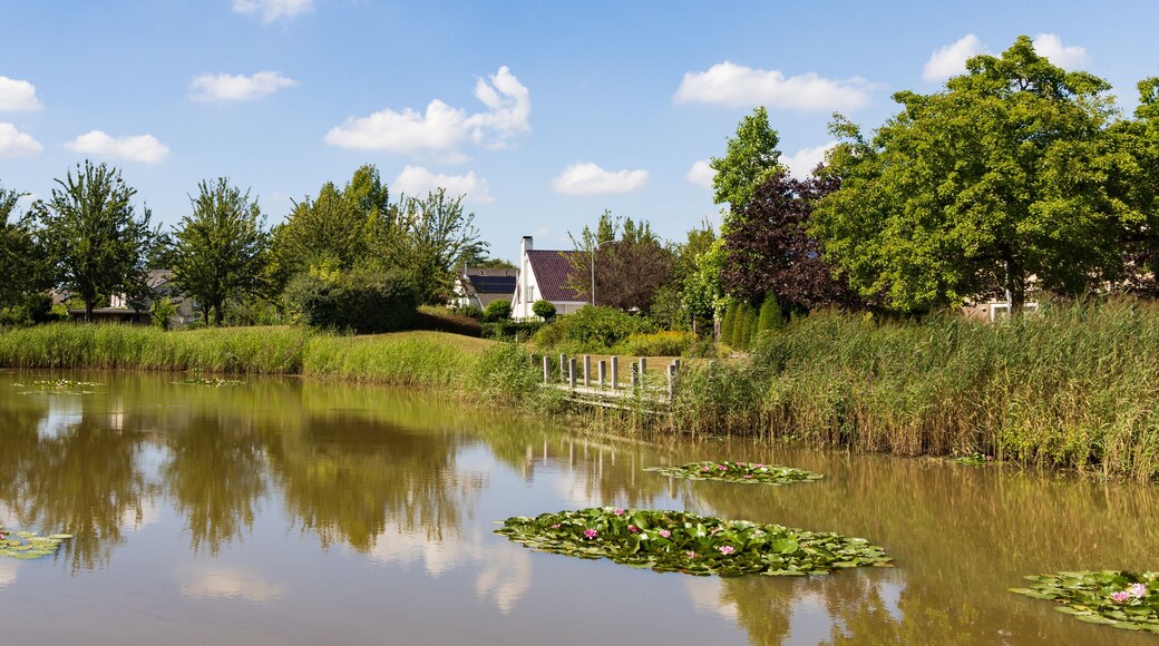 Municipio de Westerkwartier