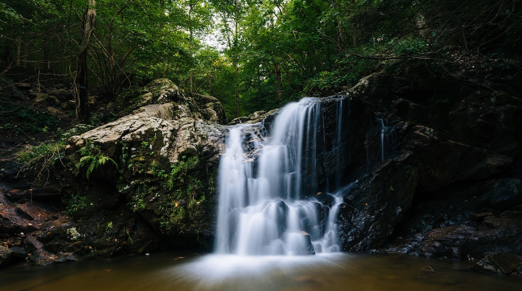 Cascade Falls, at Patapsco Valley State Park, Maryland