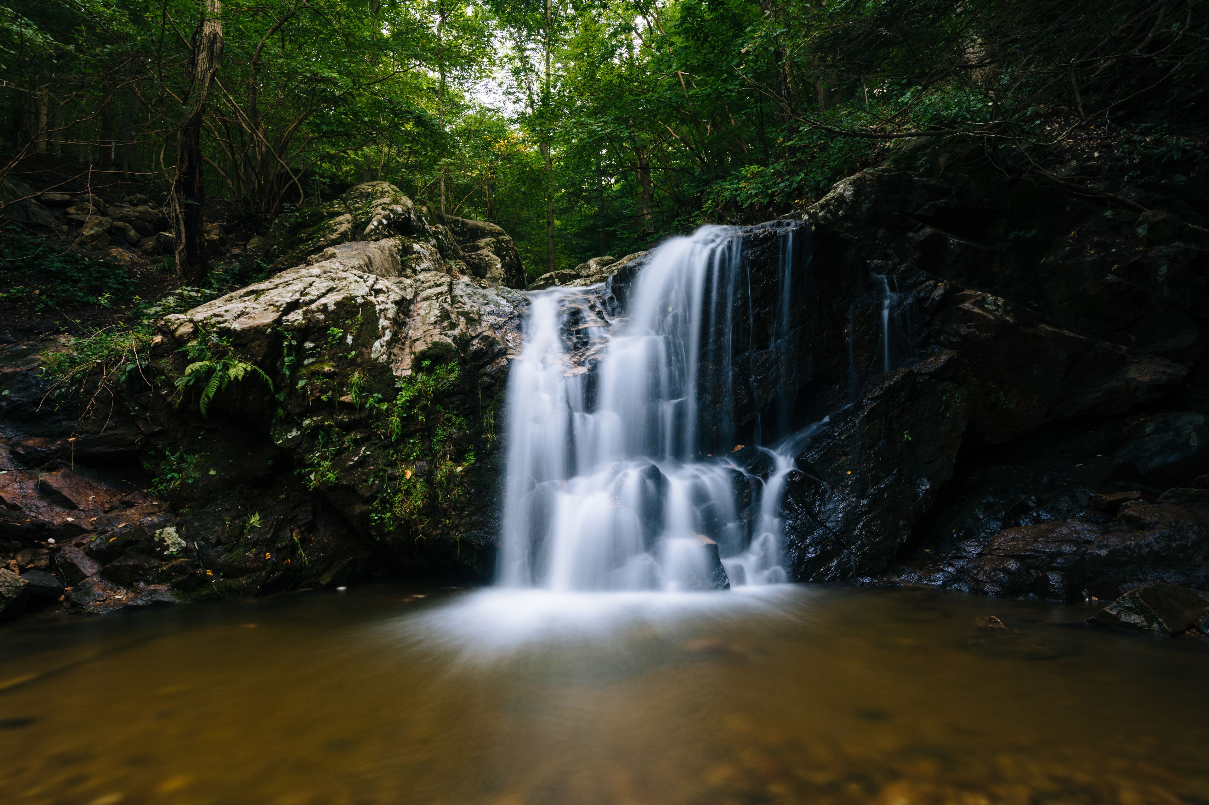 A waterfall in a forested area with a pool at the base.