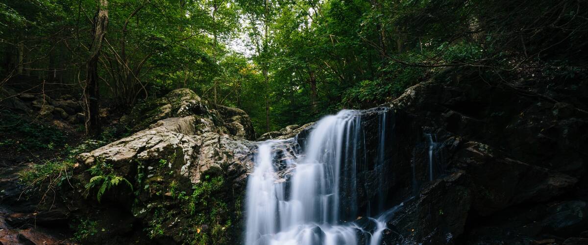 A waterfall in a forested area with a pool at the base.