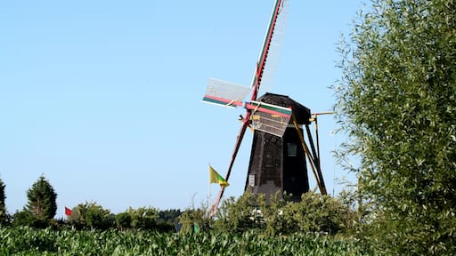 De Jonge Johannes industry and polder-mill