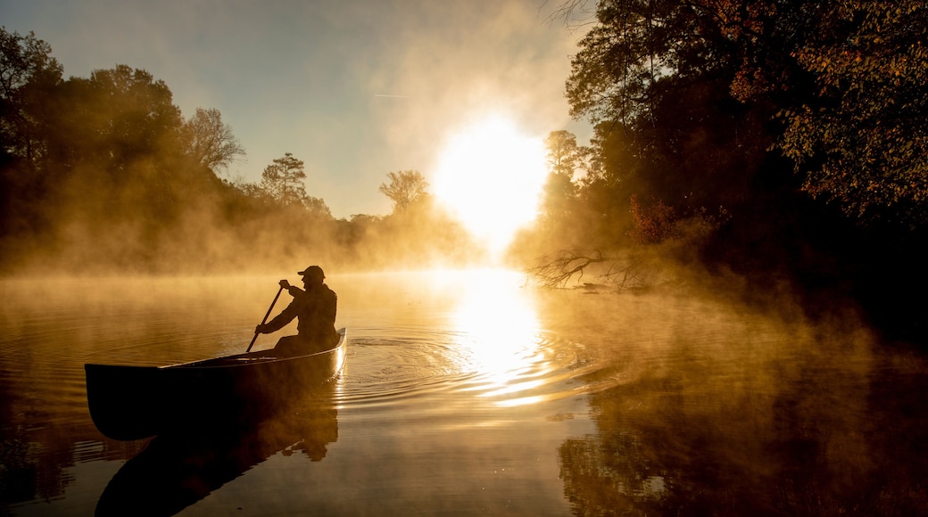 Sunrise canoe ride on foggy river.