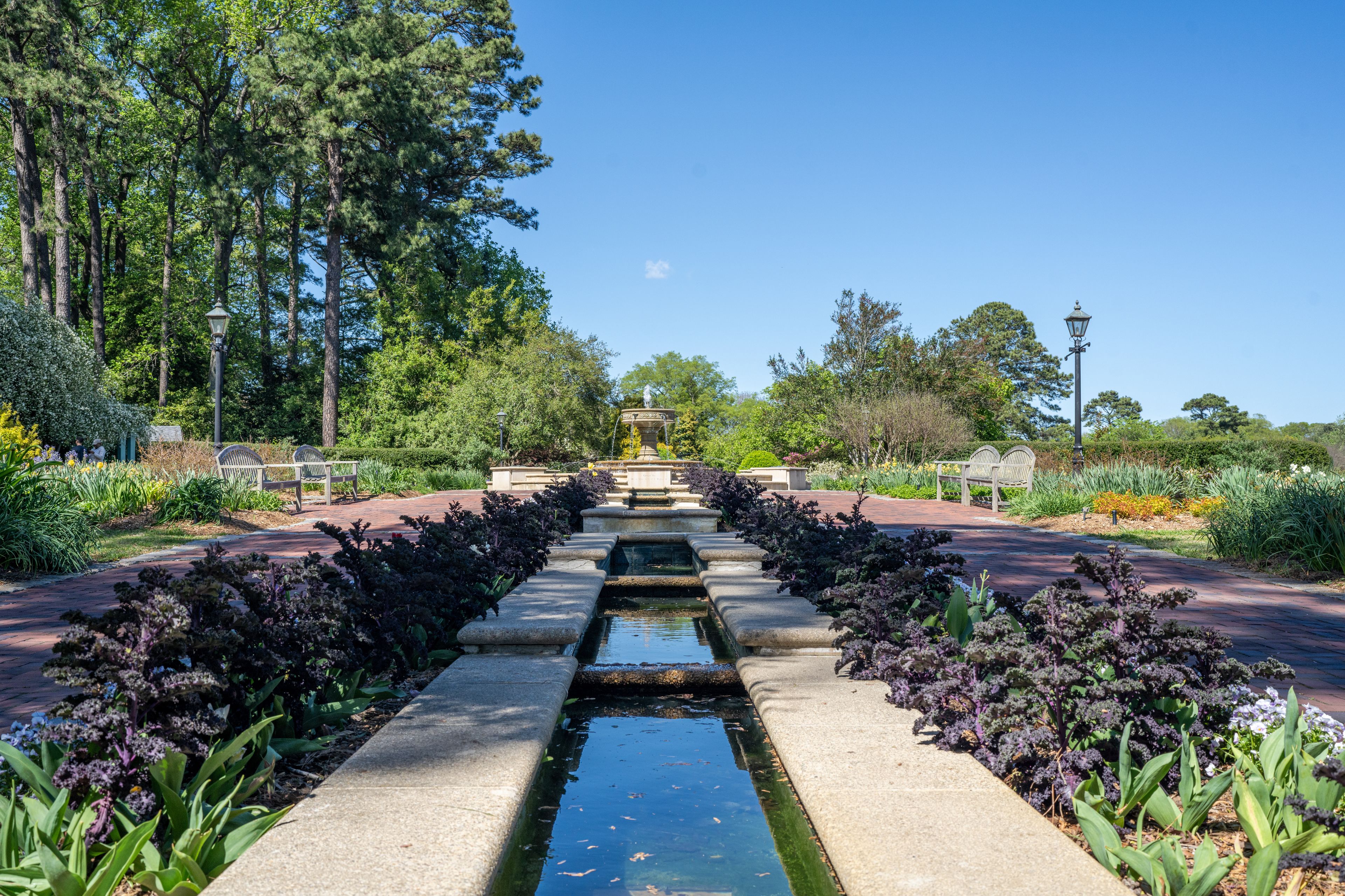A garden with a central water feature, benches, and a variety of plants.