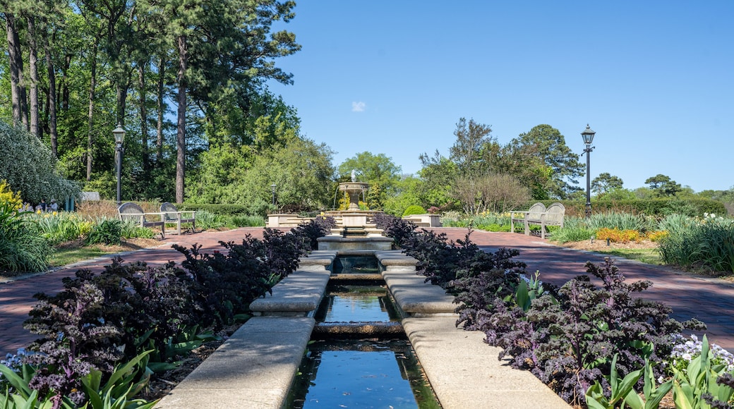 A garden with a central water feature, benches, and a variety of plants.