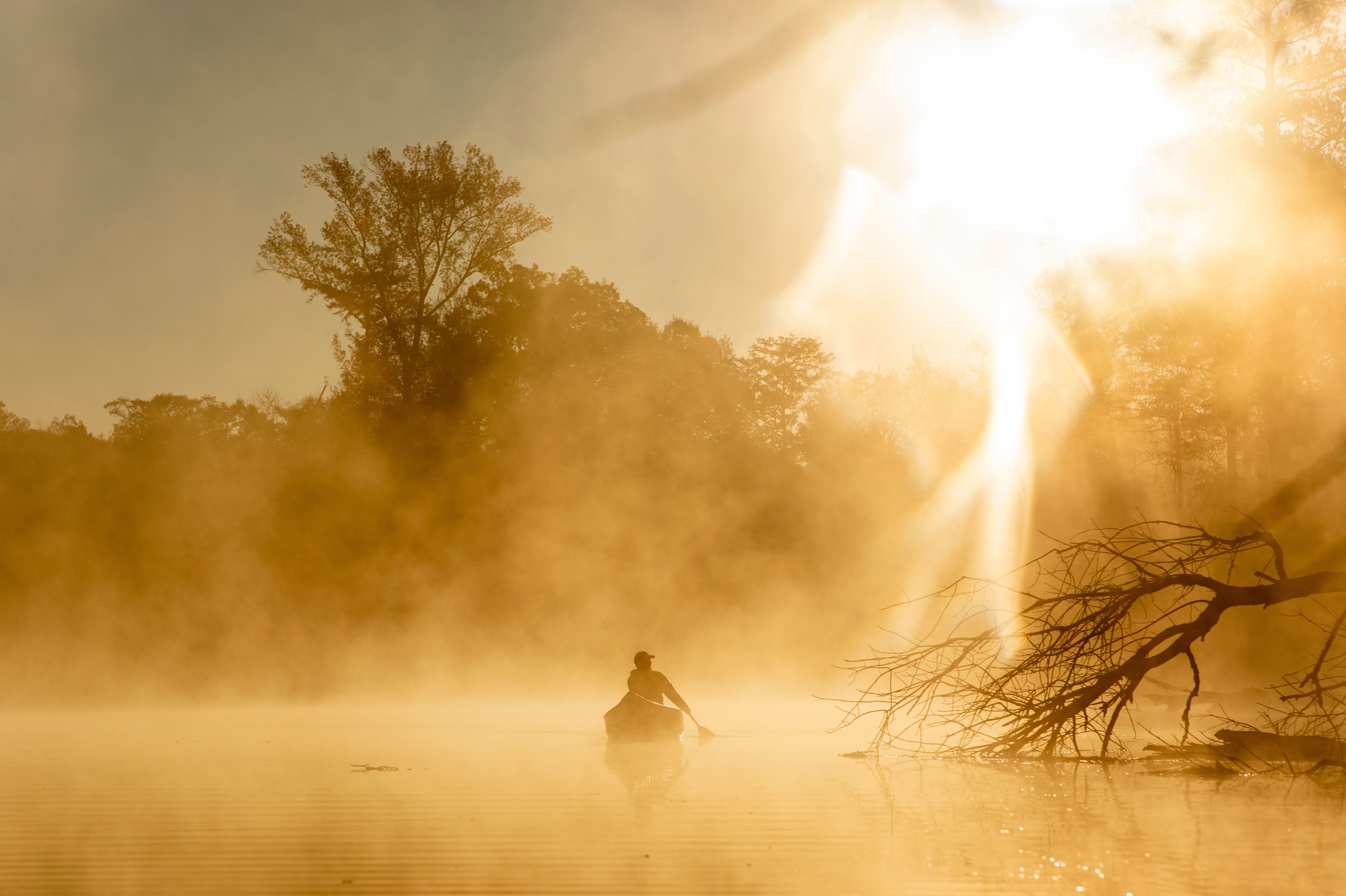 Sunrise canoe ride on foggy river.