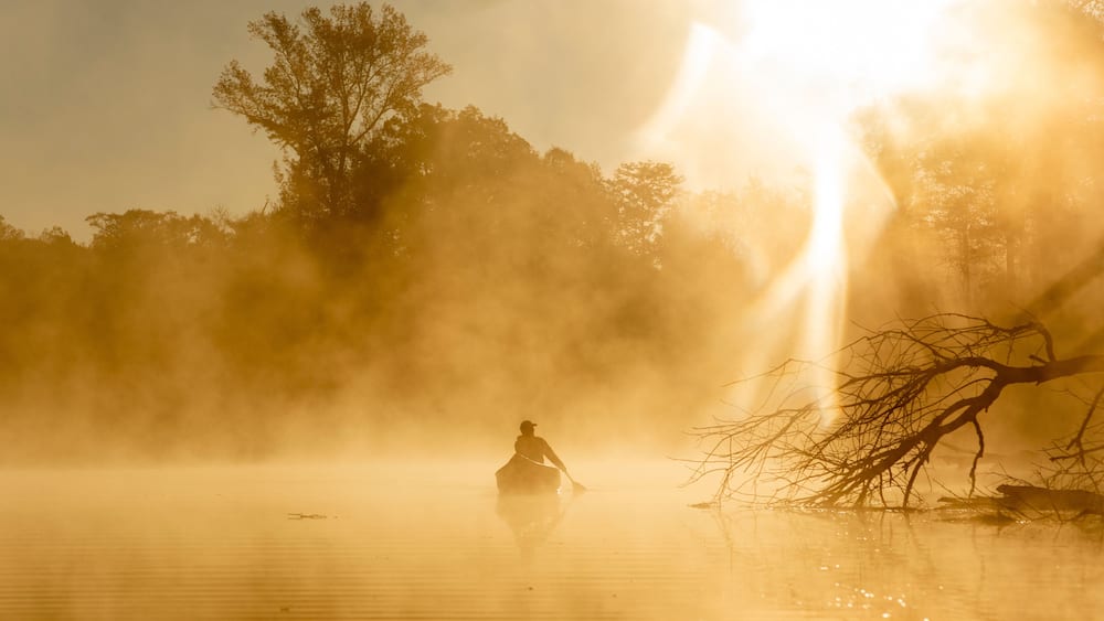 Sunrise canoe ride on foggy river.