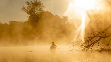 Sunrise canoe ride on foggy river.