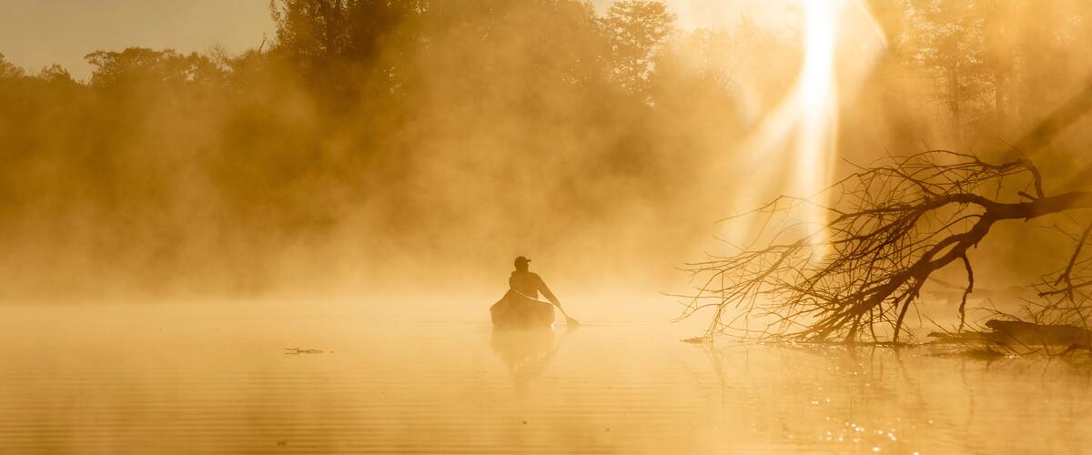 A person rowing a boat on a misty lake with a tree and a sunlit sky in the background.