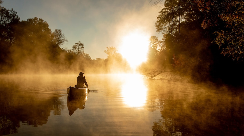 Sunrise canoe ride on foggy river.