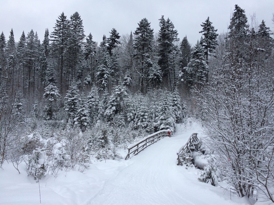 Ski de fond!