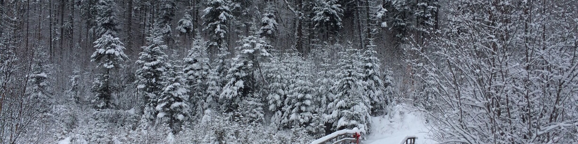 Ski de fond!