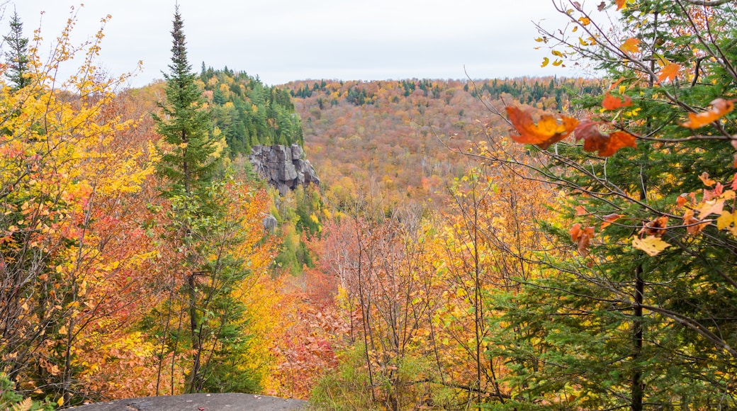 Panoramic lookout in Canada during autumn colours (Val David Regional Park, Laurentides, Quebec)