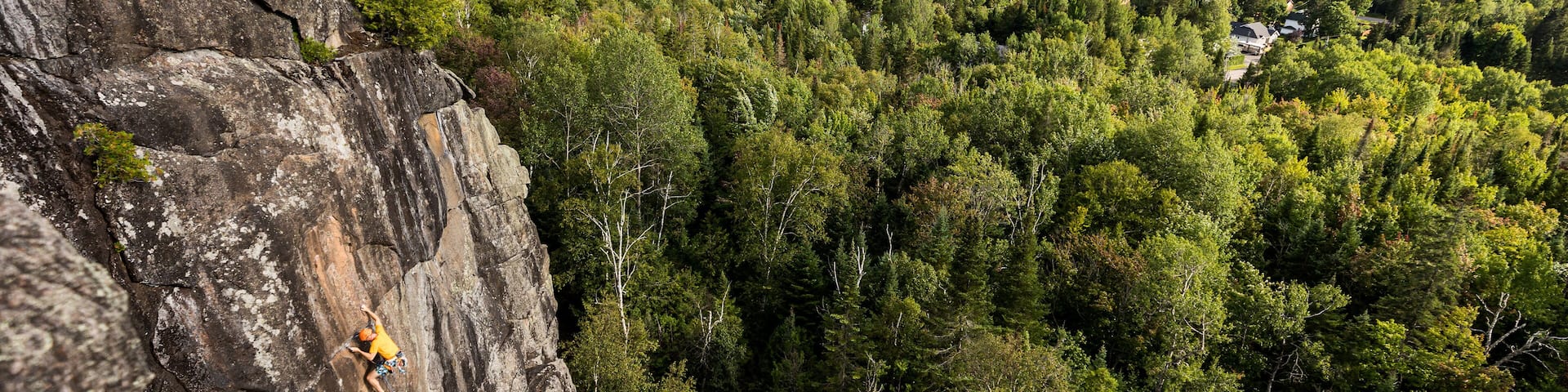 Climber on the wall in the forest