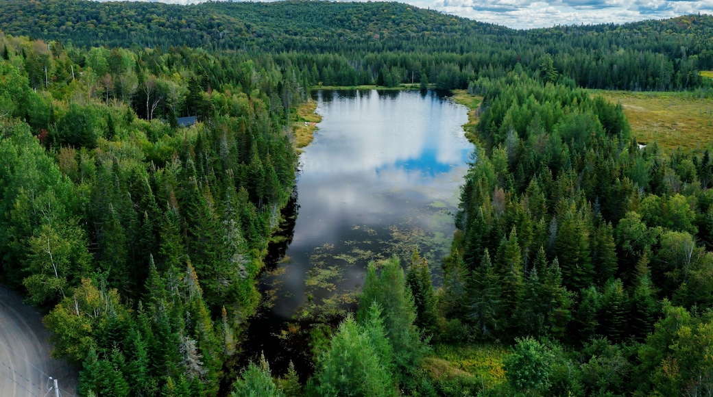 Small lake in the forest. Sainte-Lucie-des-Laurentides, Val David, Quebec, Canada.