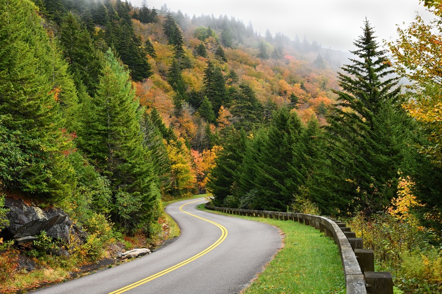 A winding road through a forest with autumn foliage.