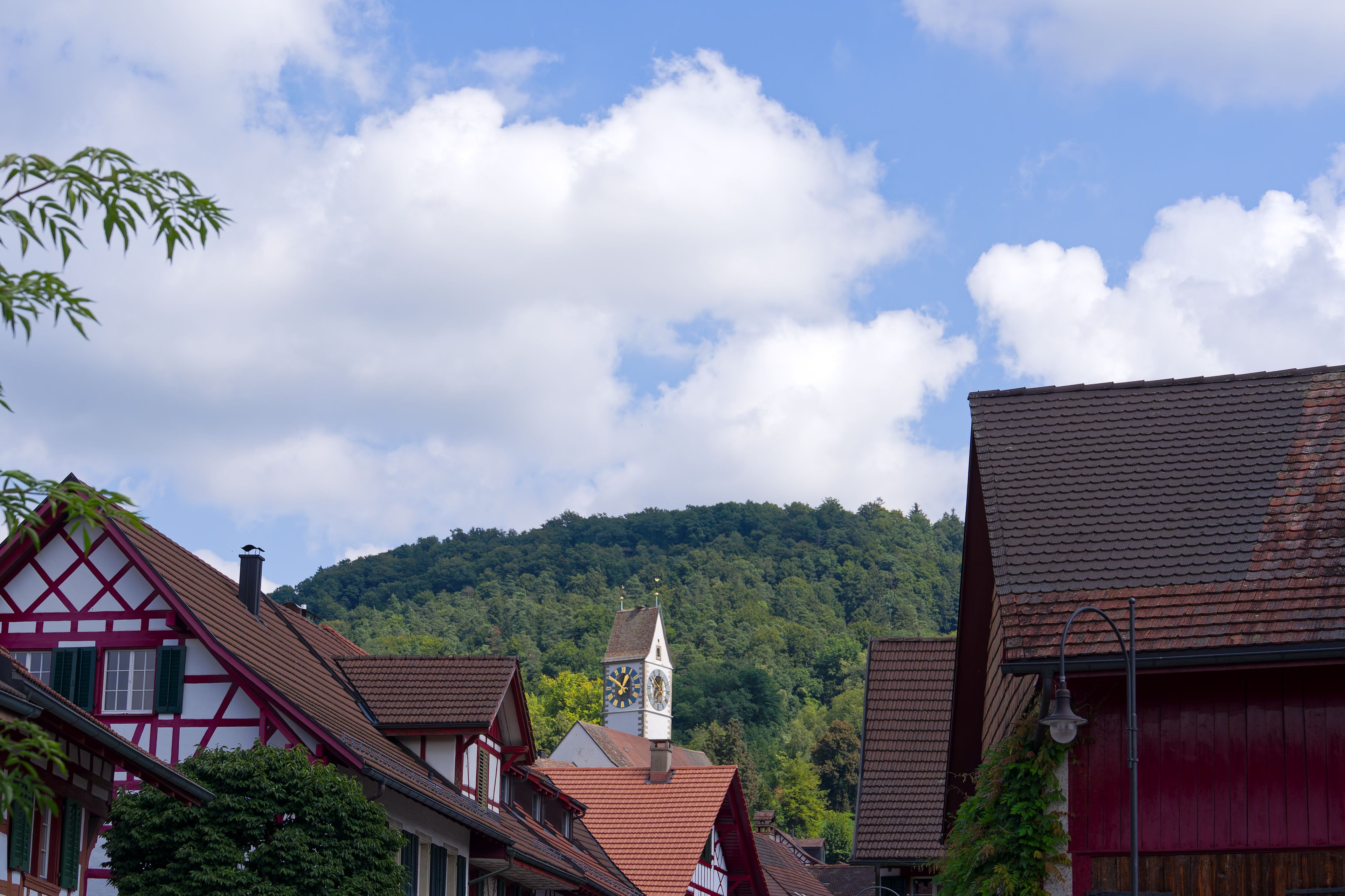 Un village européen traditionnel, avec des maisons à colombages, une église dotée d’un clocher et, en arrière-plan, une colline boisée.