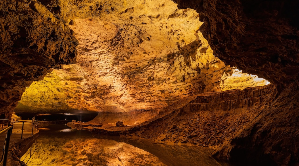 Interior view of the Meramec Caverns