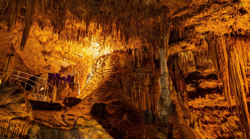 A cave with stalactites and a metal walkway.