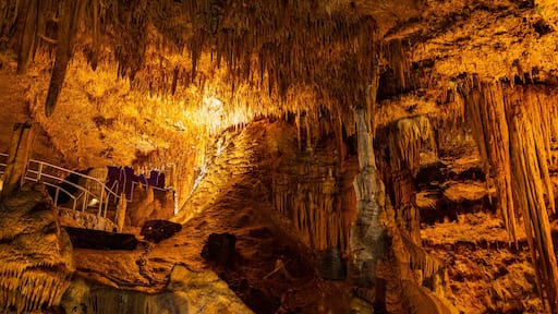 Interior view of the Meramec Caverns