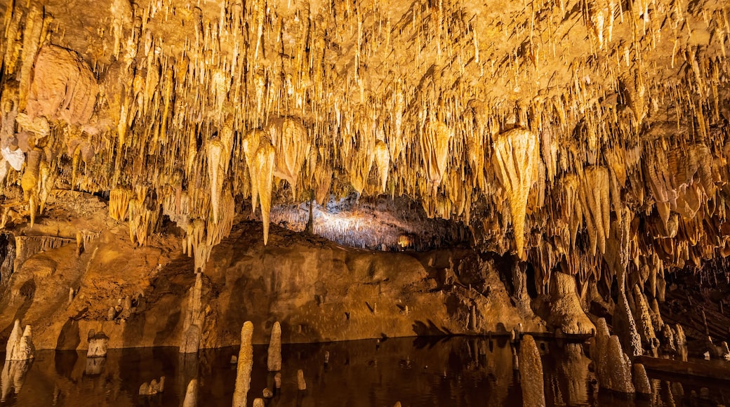 A cave with stalactites hanging from the ceiling and stalagmites rising from the ground.