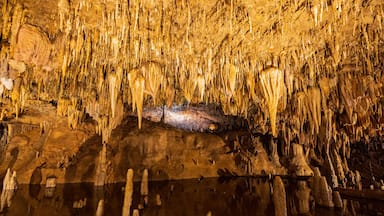 Interior view of the Meramec Caverns