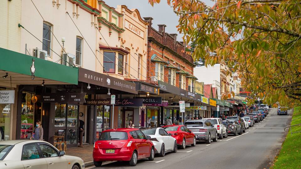 A street lined with shops and parked cars.